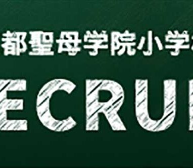 採用情報