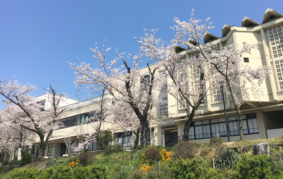 小学校校舎