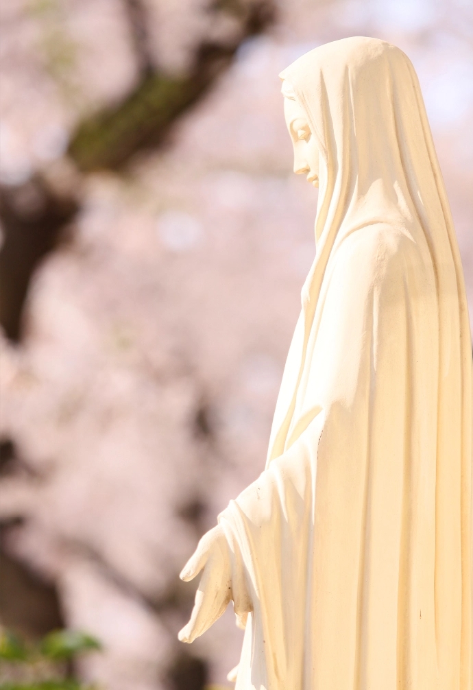 マリア像と桜