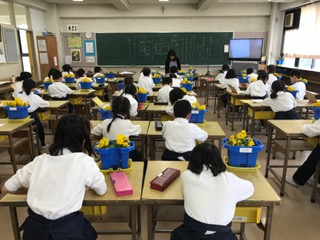 ギャラリー