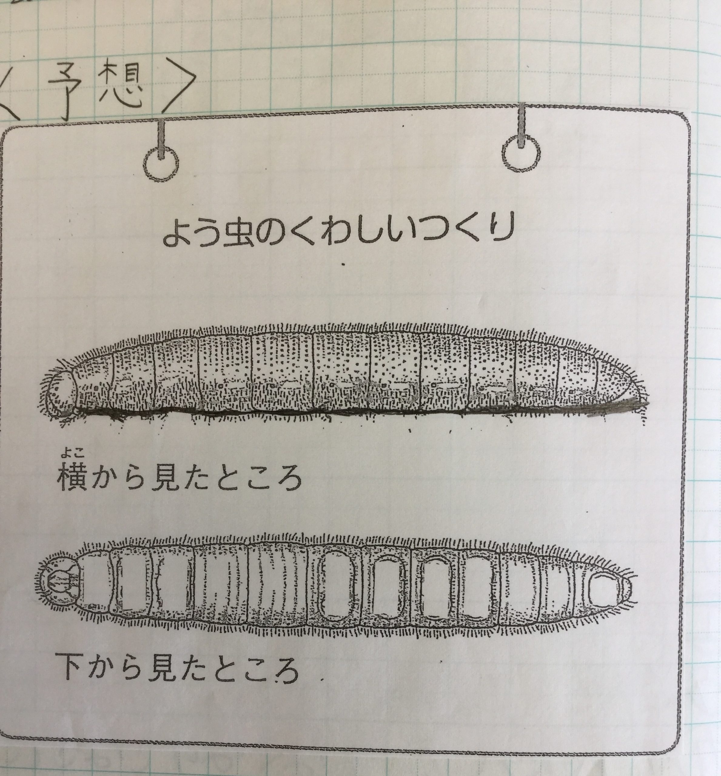ギャラリー