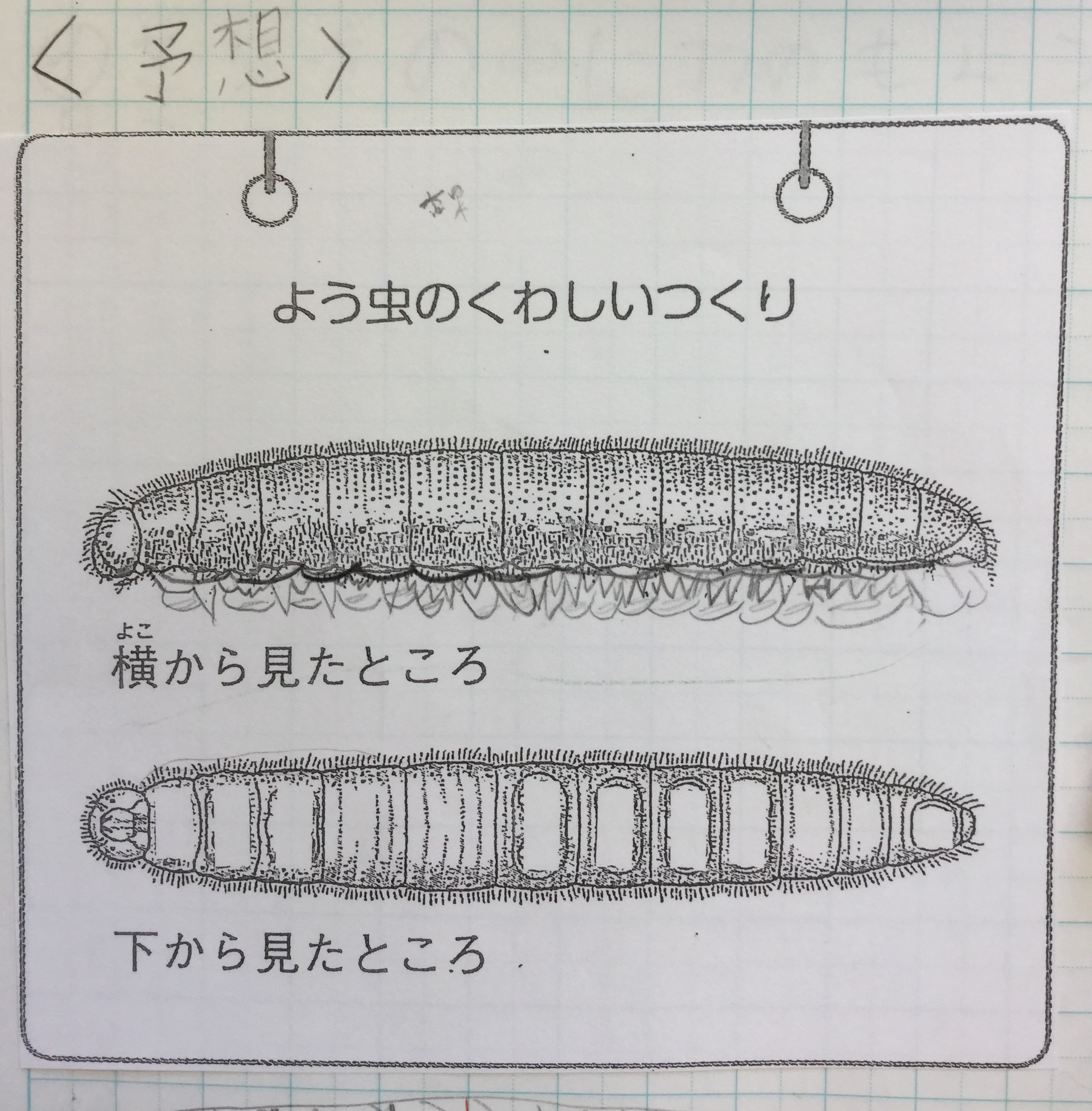 ギャラリー