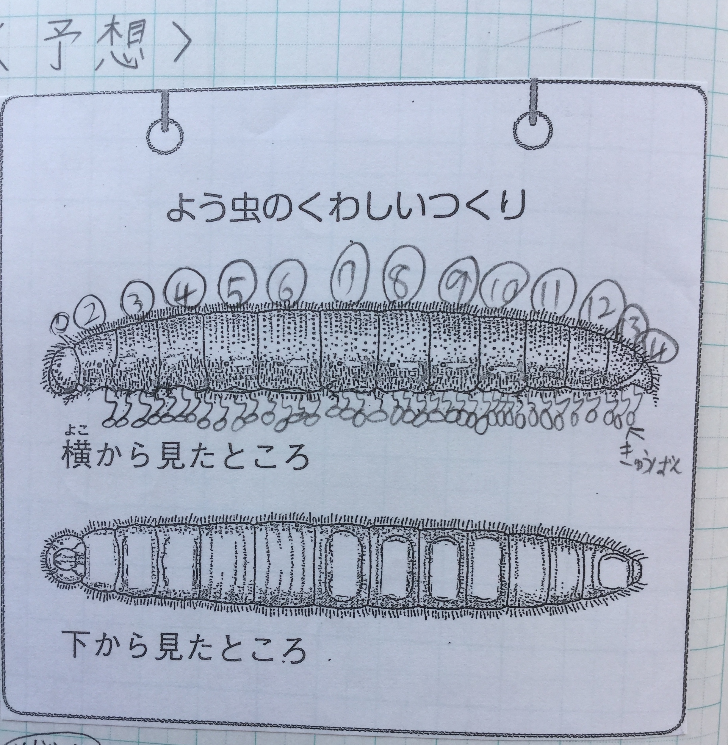 ギャラリー