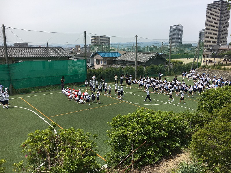 ギャラリー