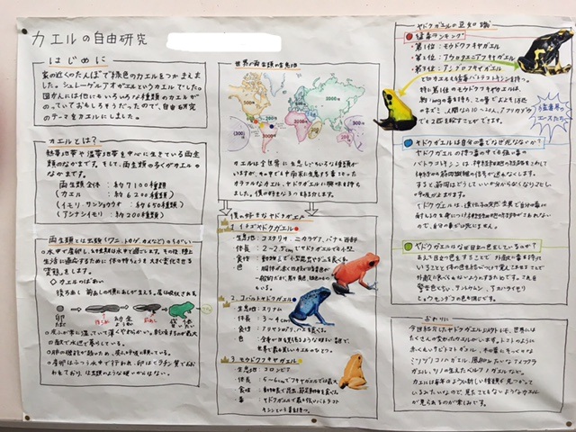 ギャラリー