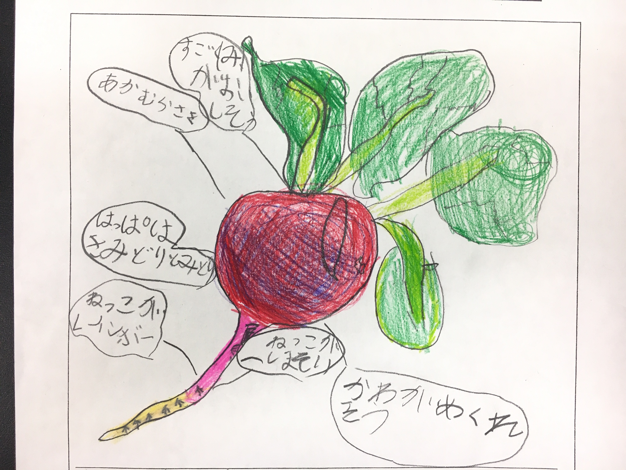 ギャラリー