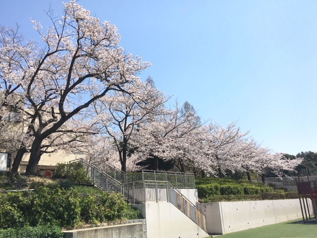 ギャラリー
