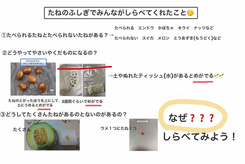 ニュース＆トピックスサムネ