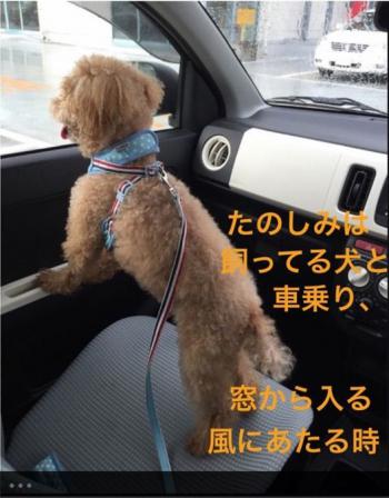 ギャラリー