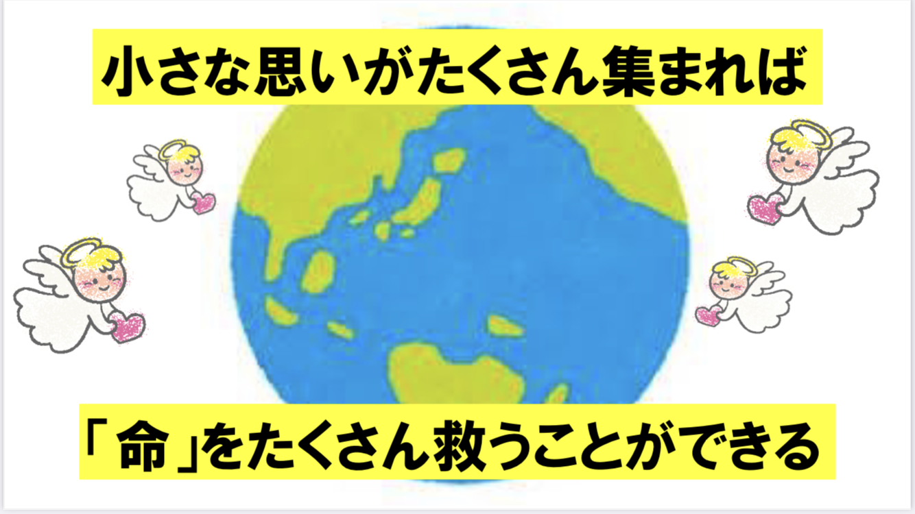 ニュース＆トピックスサムネ