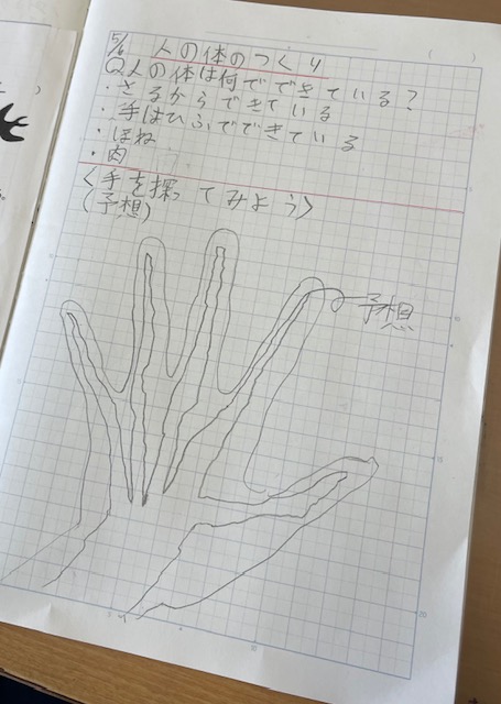 ギャラリー