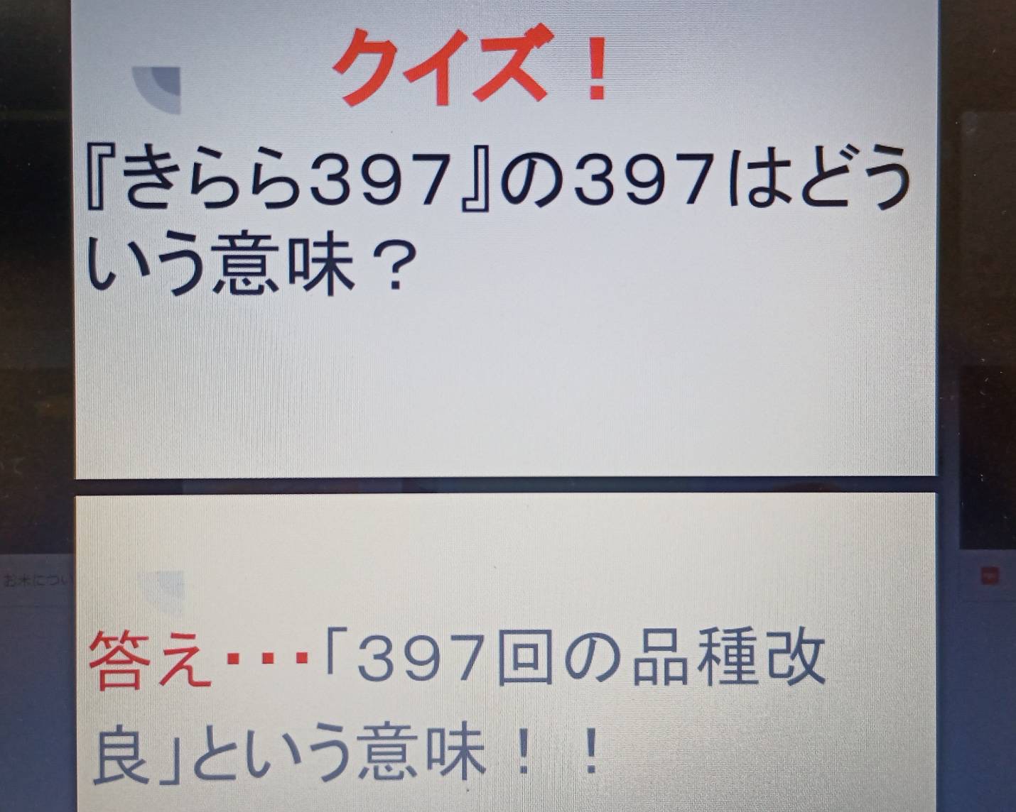 ギャラリー