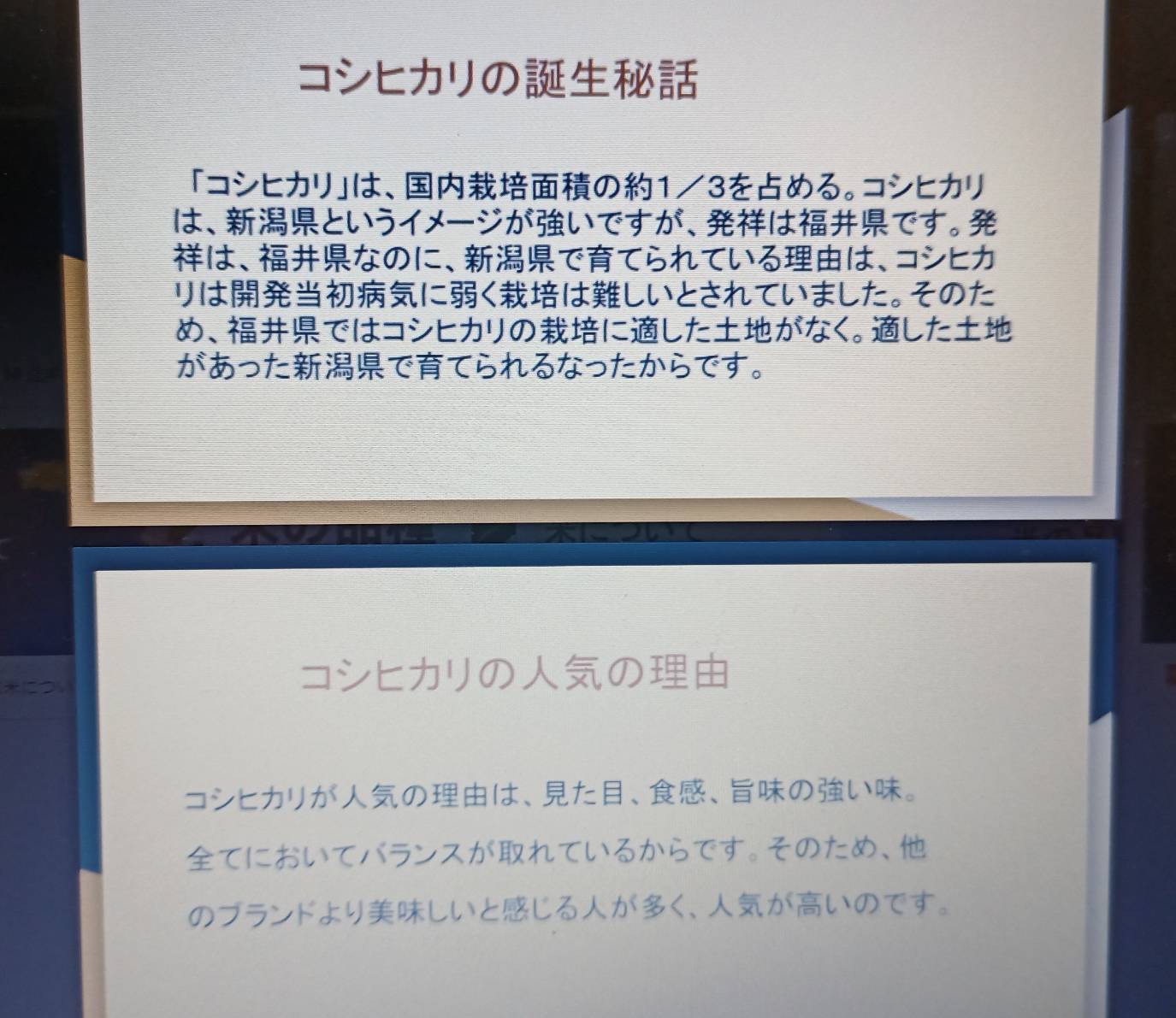 ギャラリー