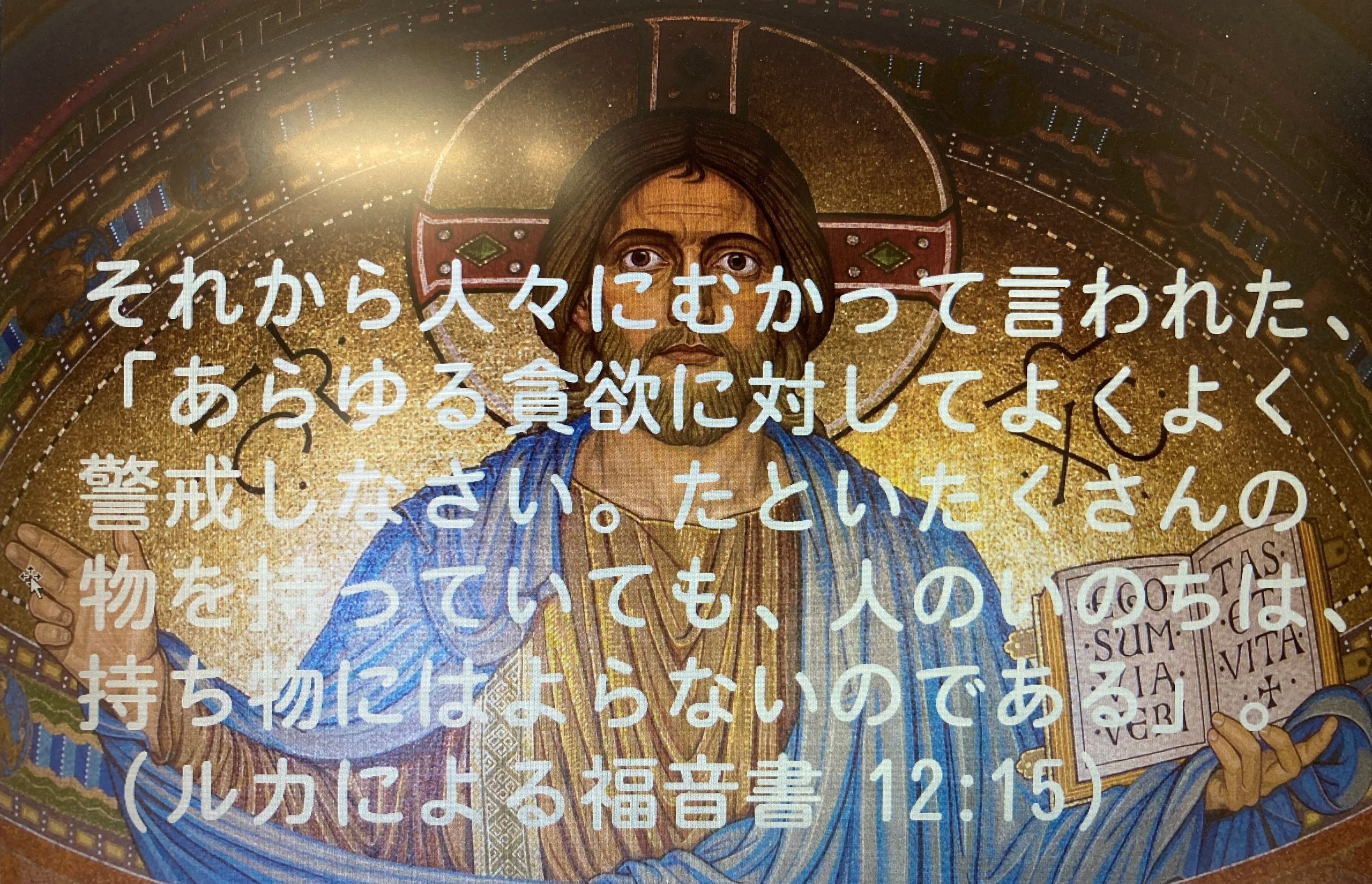 ギャラリー