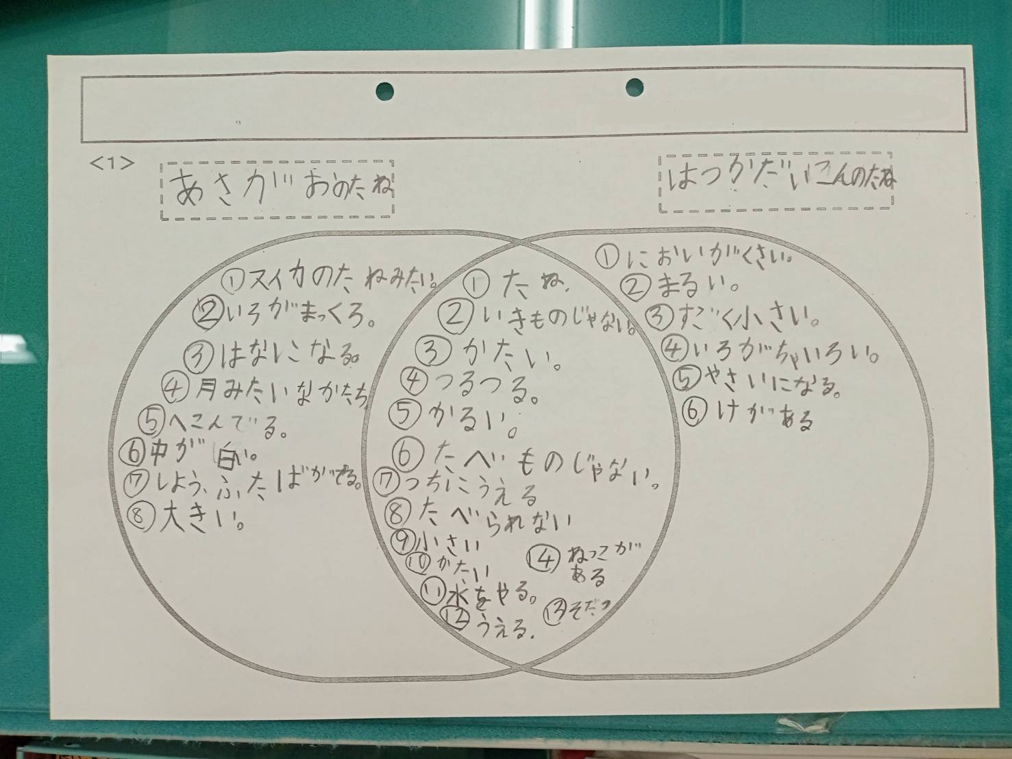 ギャラリー