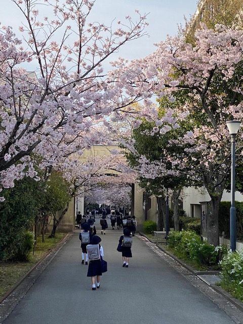 校長ブログサムネ