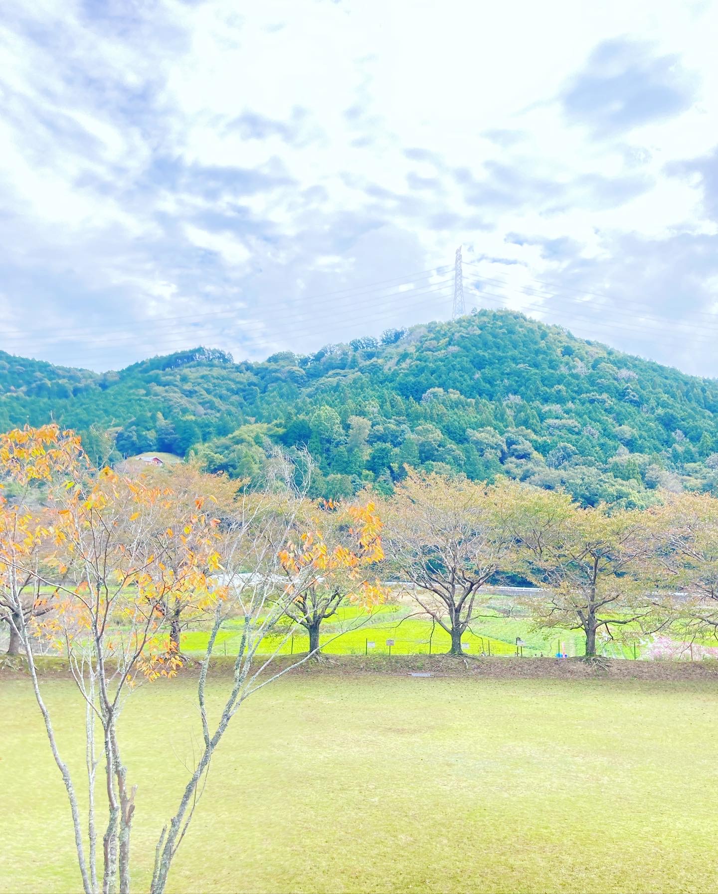 ギャラリー