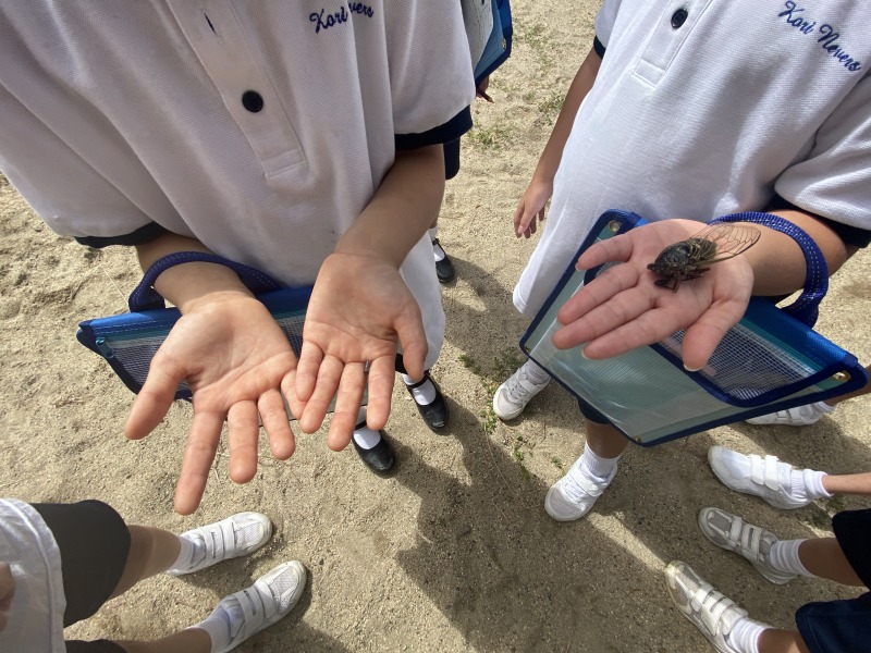校長ブログサムネ