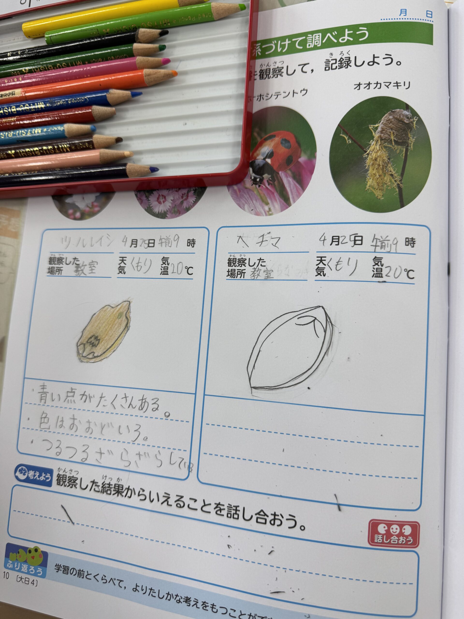 ギャラリー
