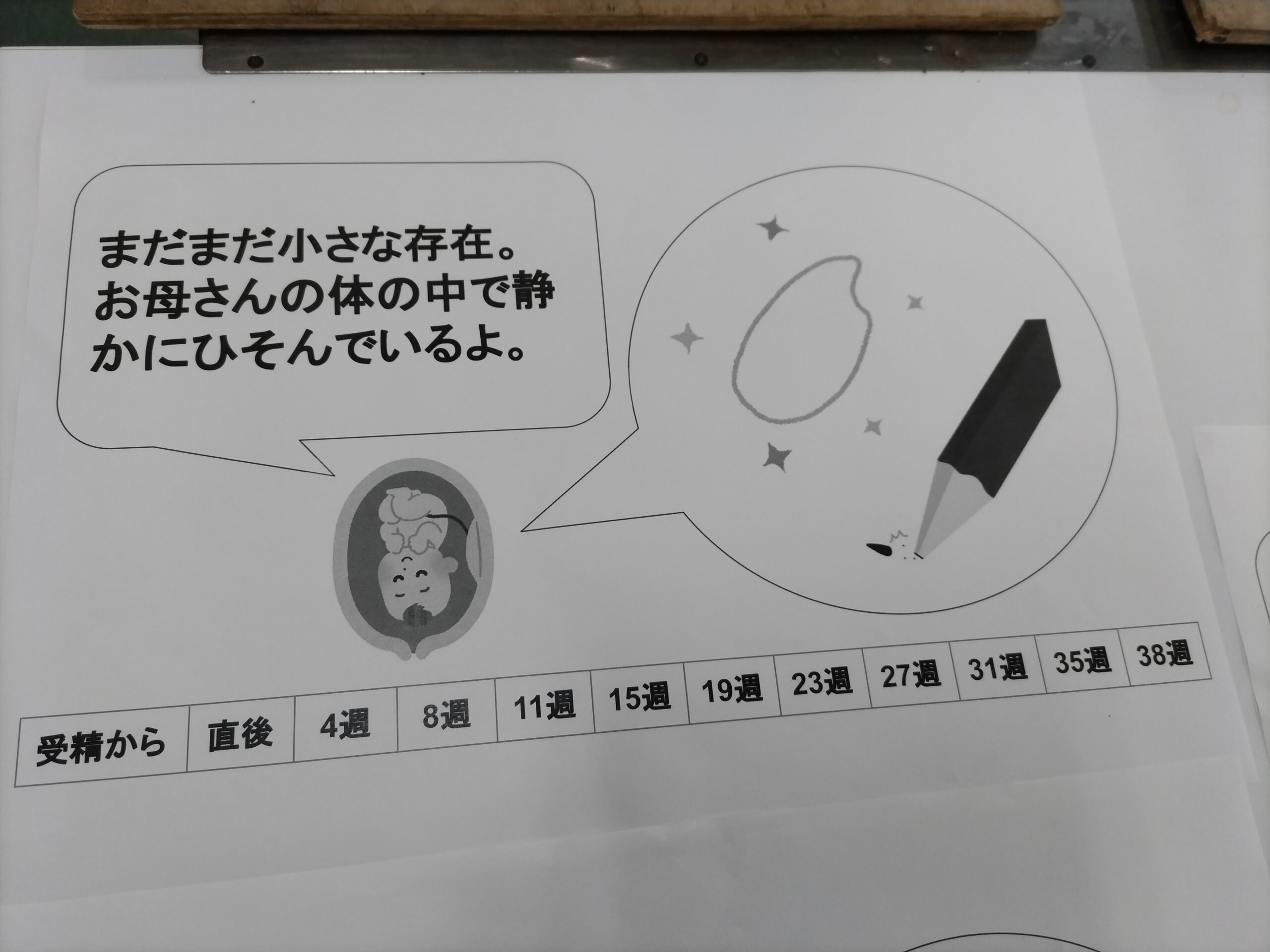 ギャラリー