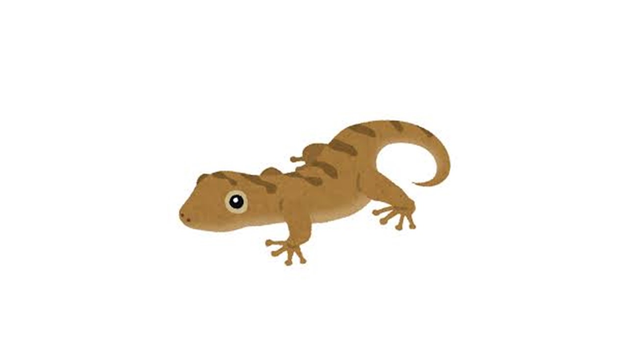校長ブログサムネ