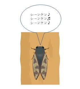 校長ブログサムネ