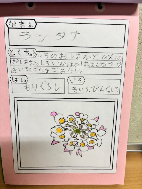 ギャラリー