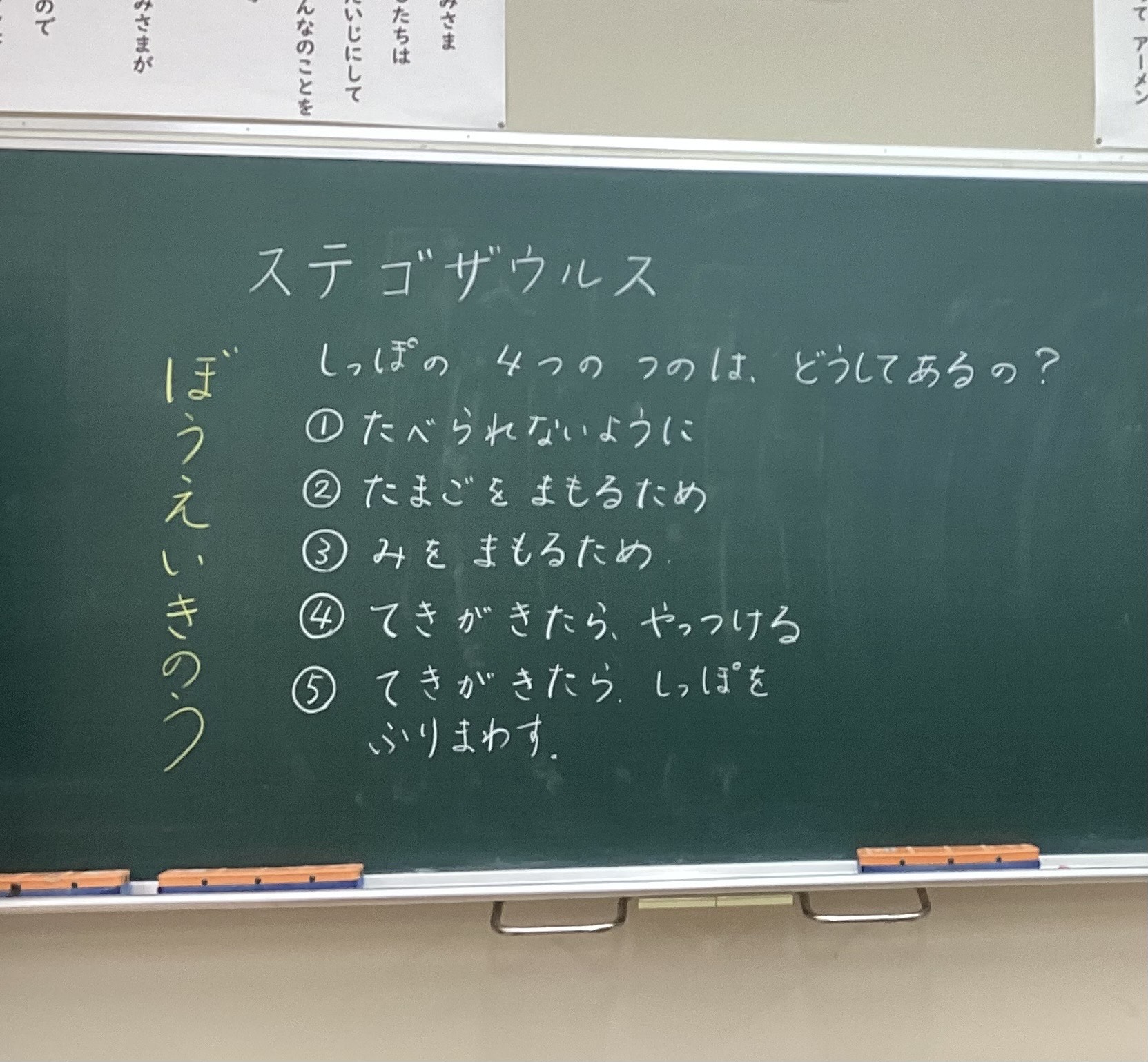 ギャラリー