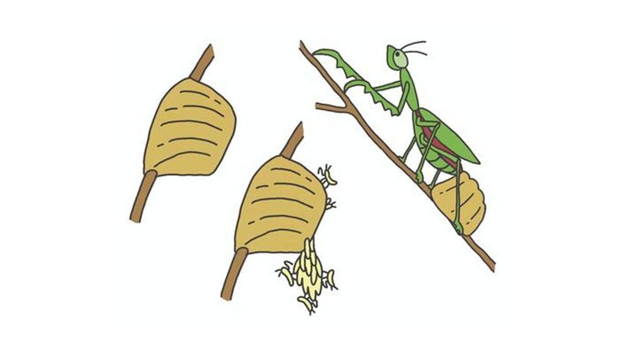 校長ブログサムネ