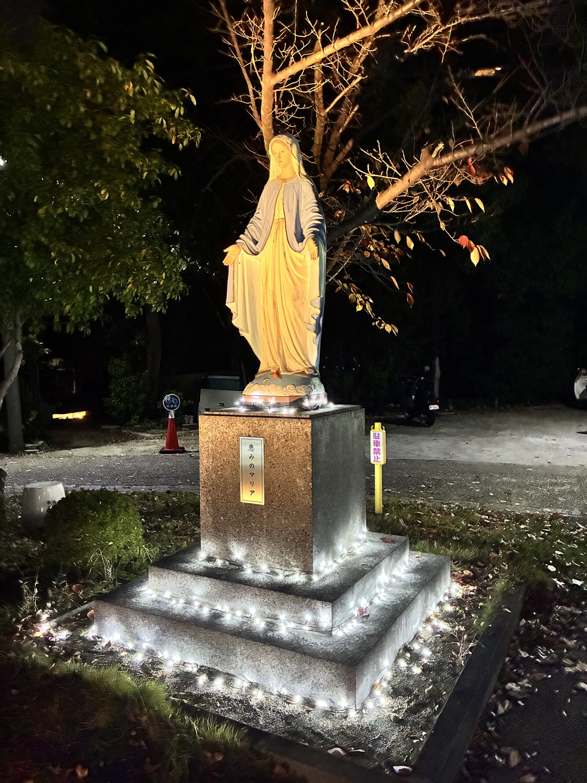 ニュース＆トピックスサムネ