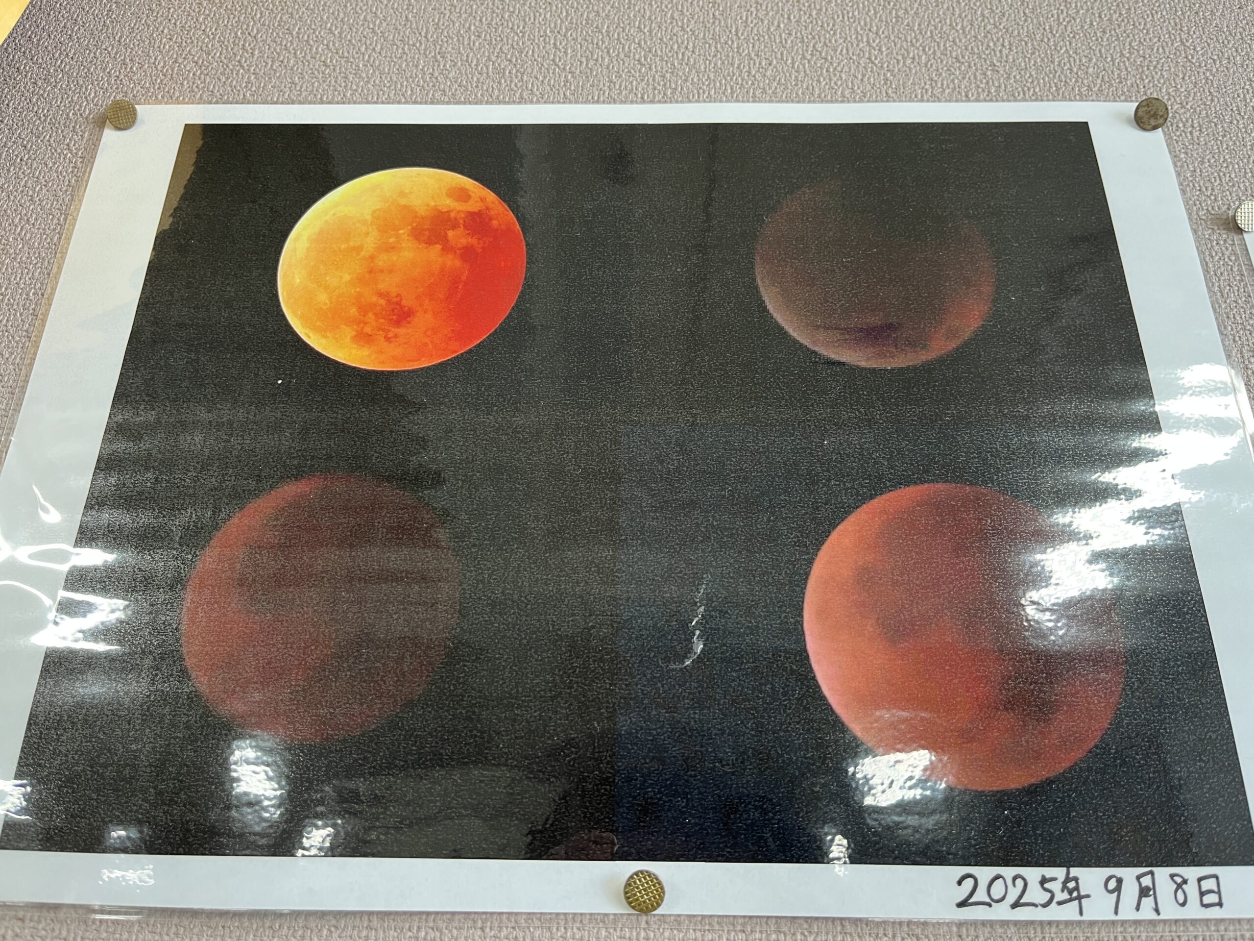 ニュース＆トピックスサムネ