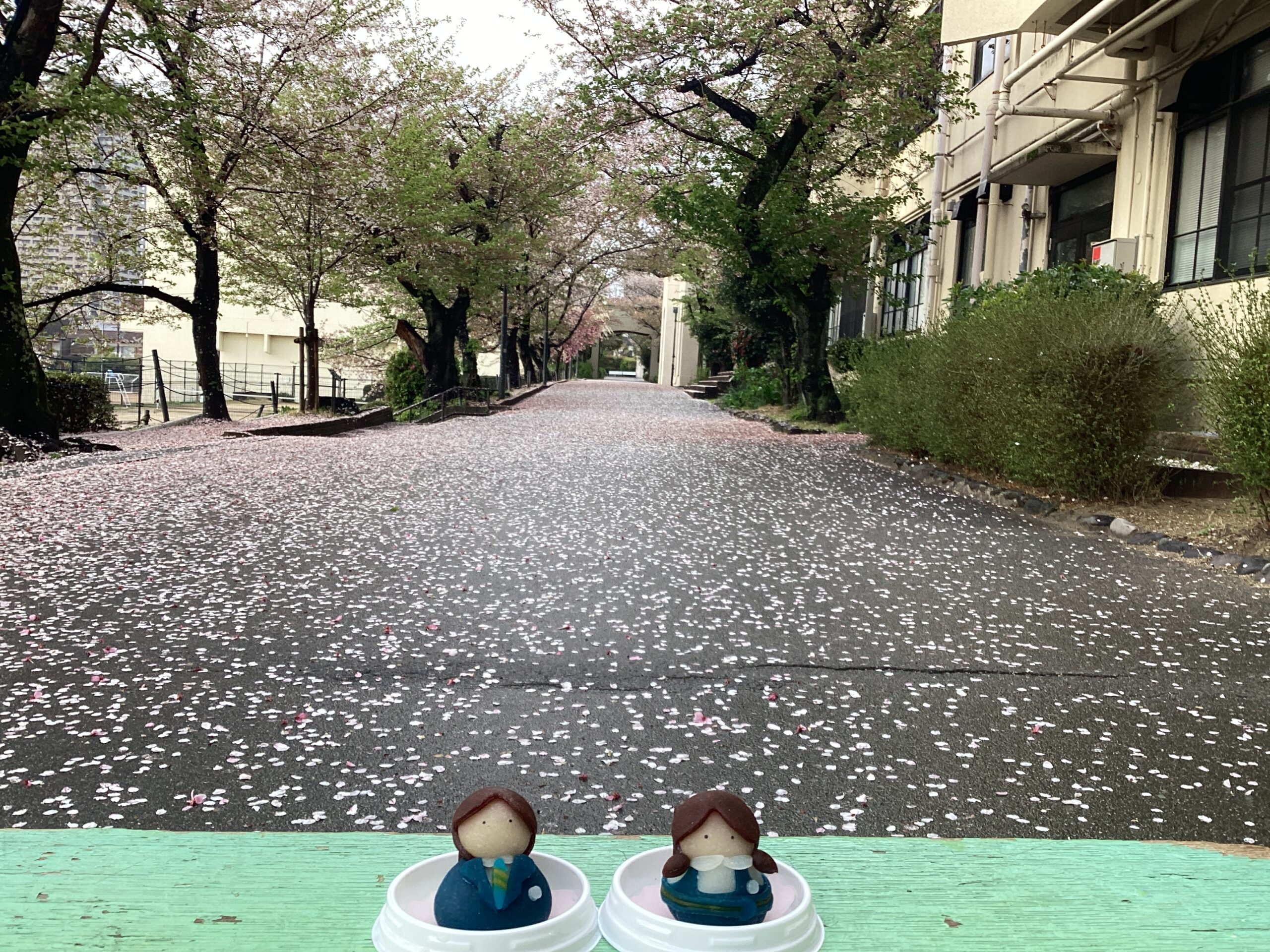 ニュース＆トピックス