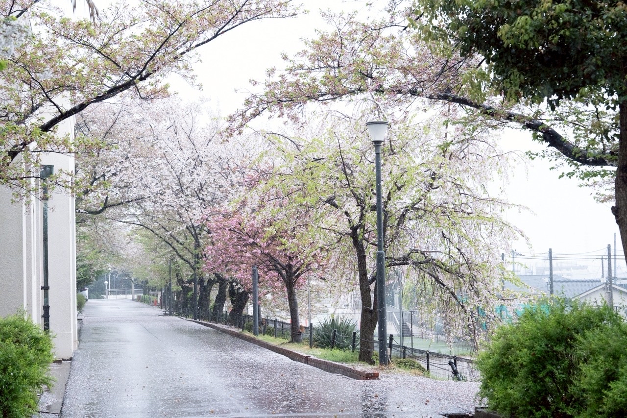 ニュース＆トピックス