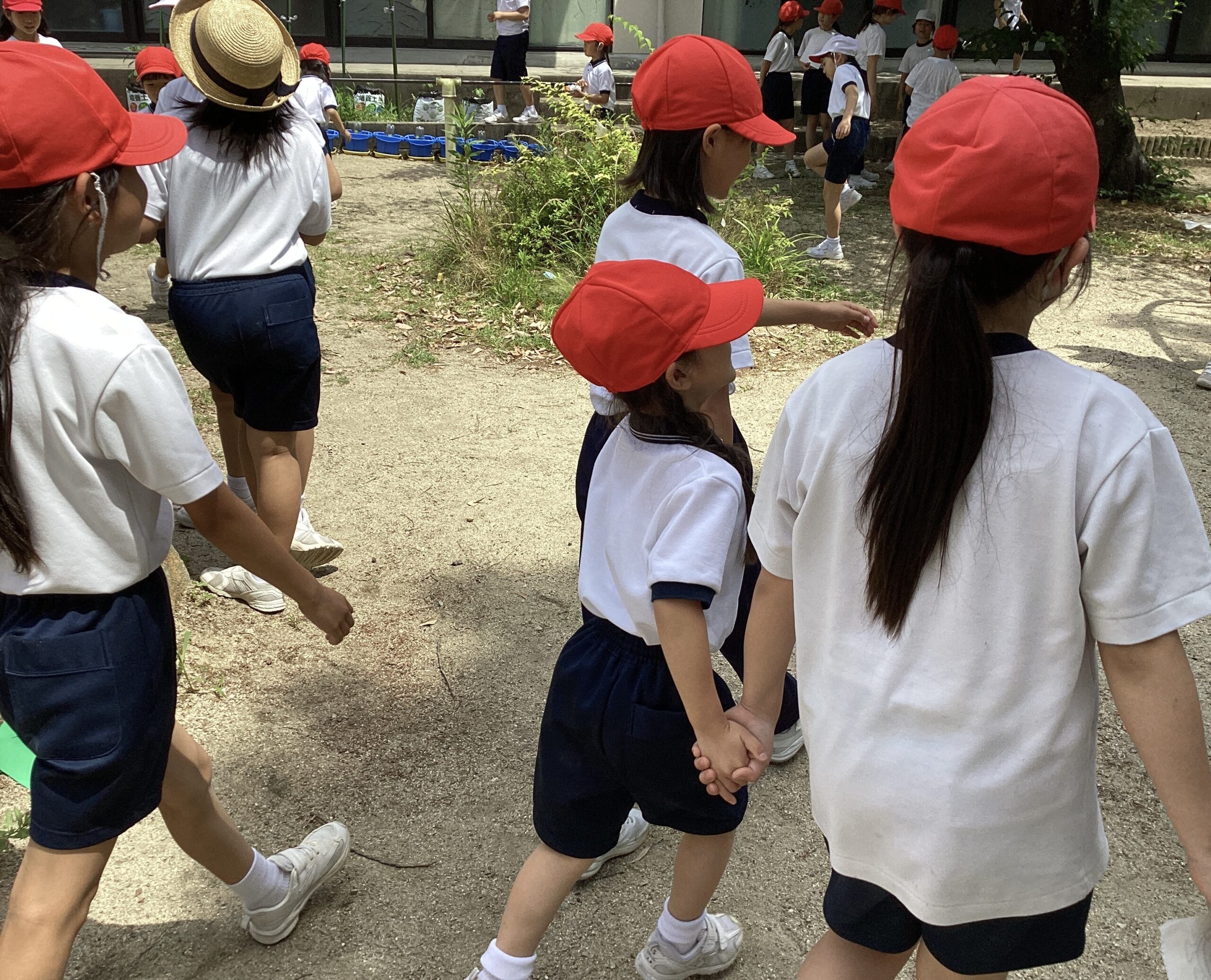 ニュース＆トピックスサムネ