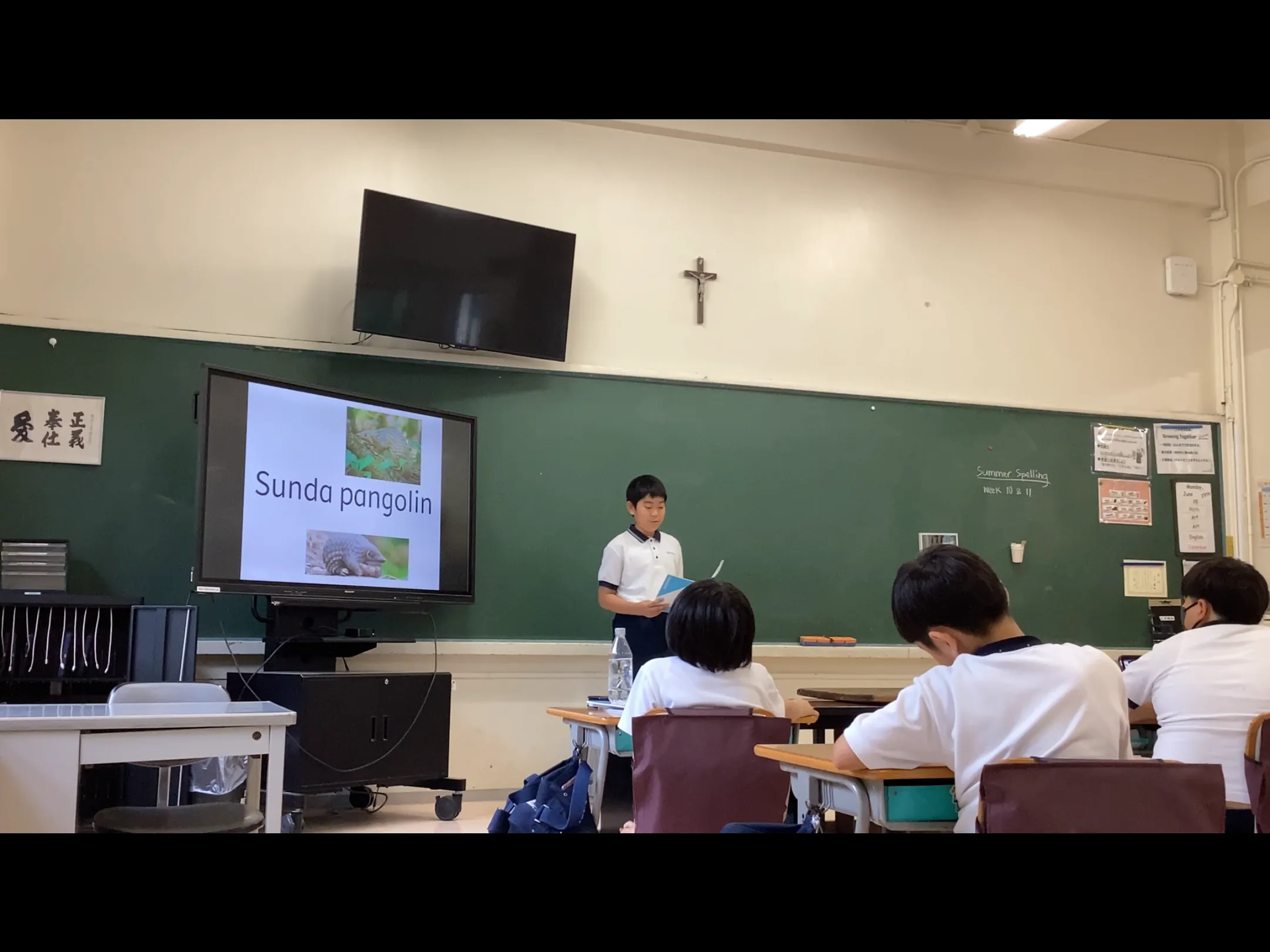 ギャラリー