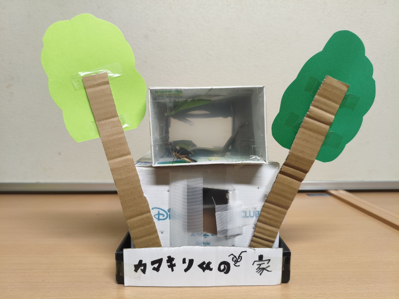 ギャラリー