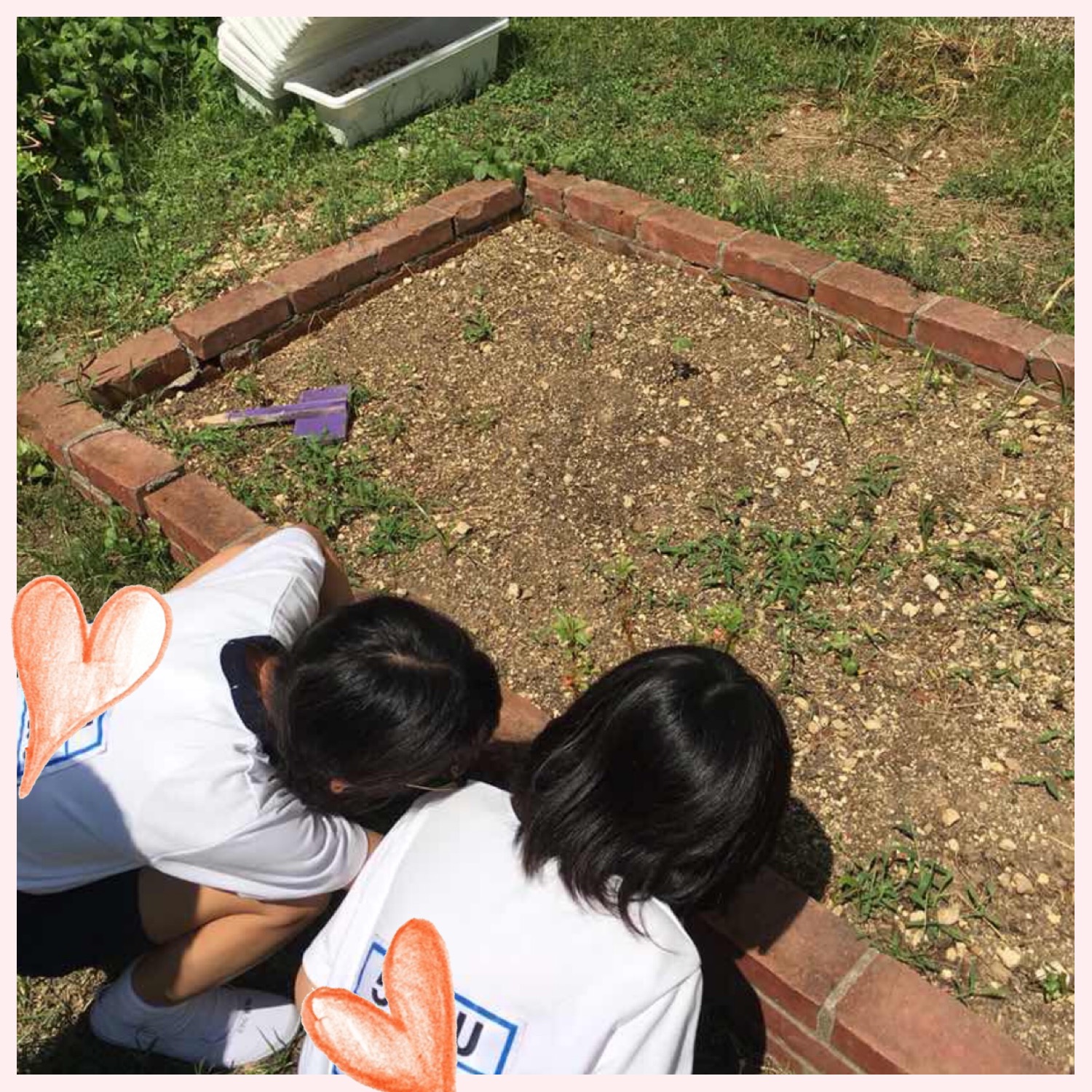 花ってみんな同じつくりなのかな 香里ヌヴェール学院小学校