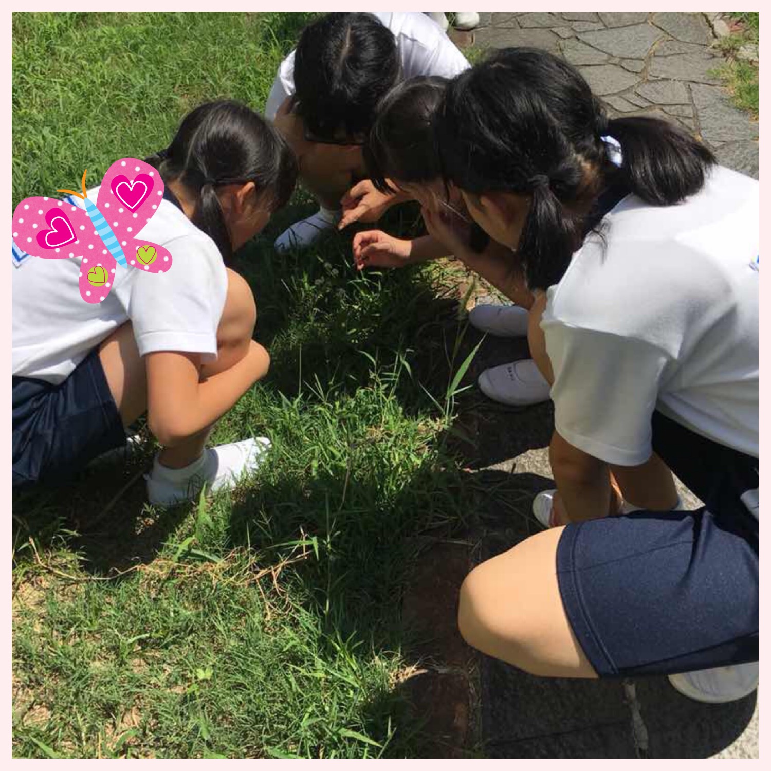 花ってみんな同じつくりなのかな 香里ヌヴェール学院小学校
