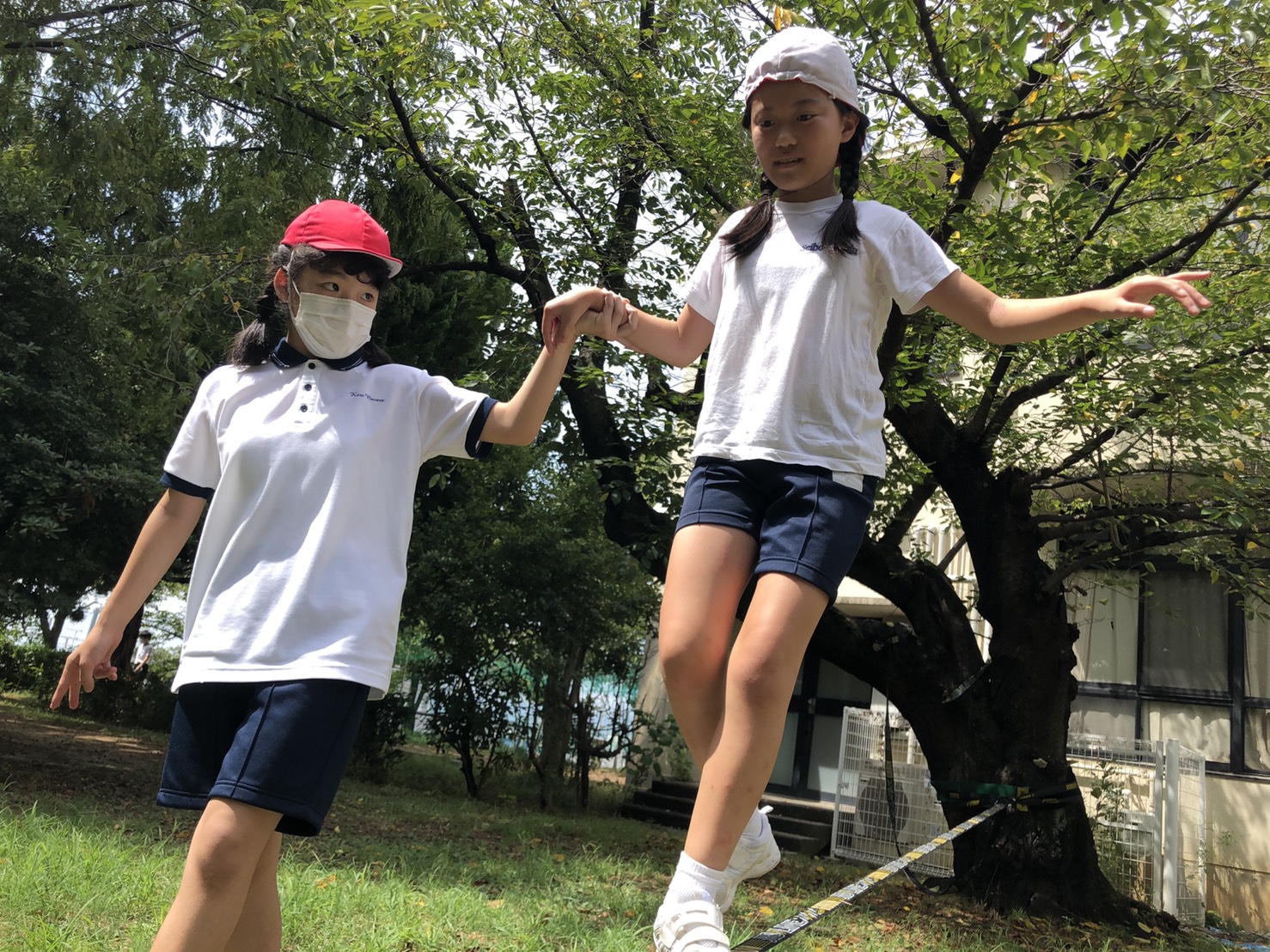 木立ちの広場がスラックラインパークとしてリニューアルしました 香里ヌヴェール学院小学校