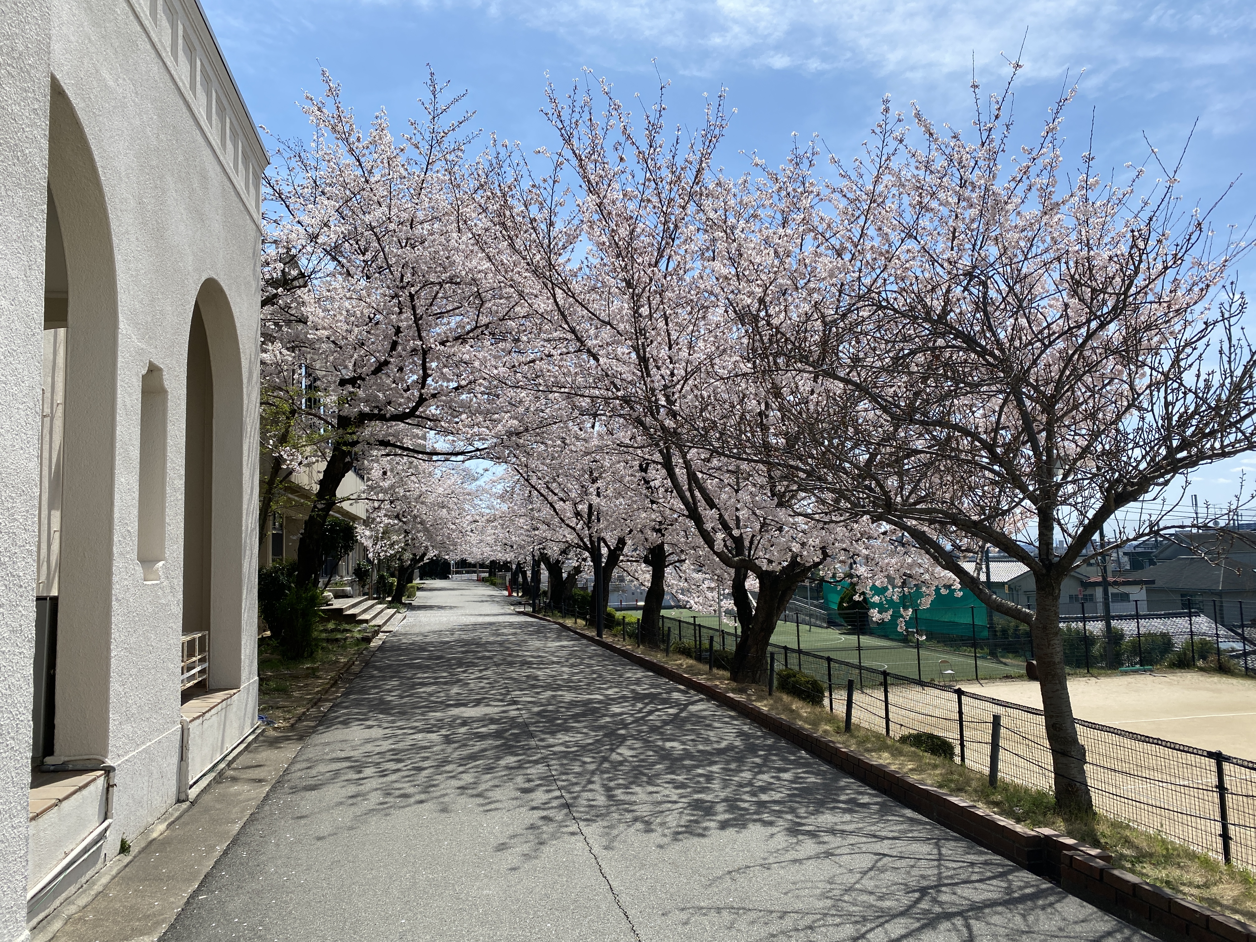 高校入学式🌸