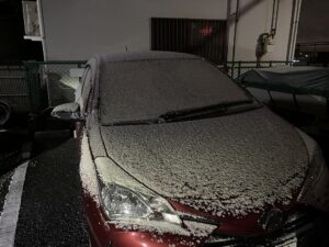 雪⛄