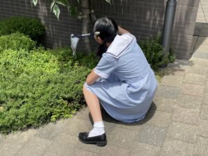 通学路清掃ボランティア