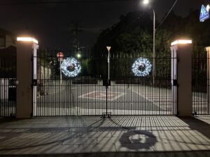 冬の訪れ❄️✨