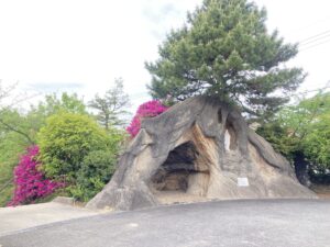 朝のお祈り　～主の祈り～
