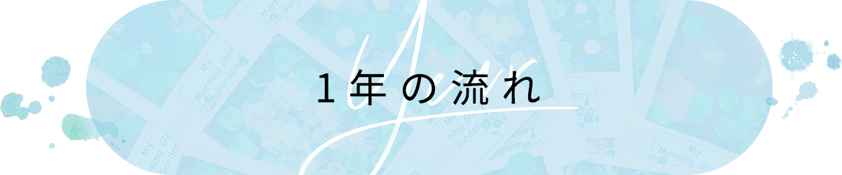 1年の流れ